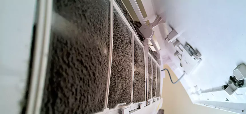 Preventive Air Duct Bacteria Removal in Albert Lea