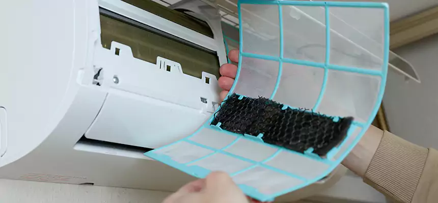 Gentle Ductwork Odor-Control Pet Dander Duct Cleaning in Albert Lea, MN