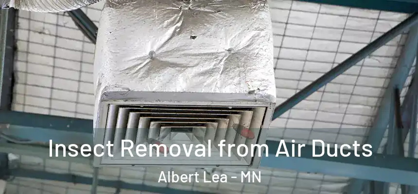  Insect Removal from Air Ducts Albert Lea - MN