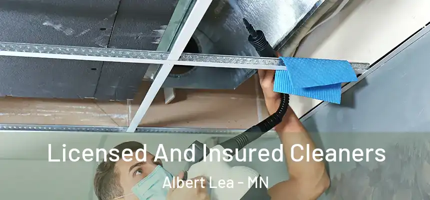  Licensed And Insured Cleaners Albert Lea - MN