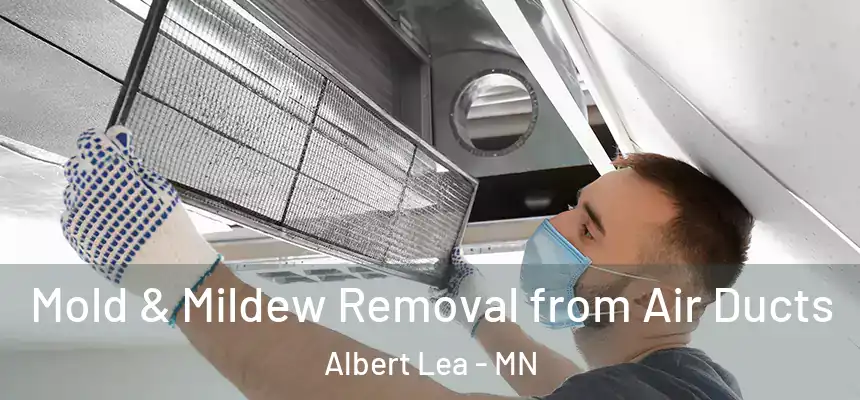 Mold & Mildew Removal from Air Ducts Albert Lea - MN