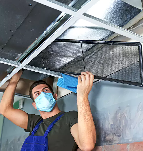 Professional Air Duct Pollen Cleaning in Albert Lea, MN