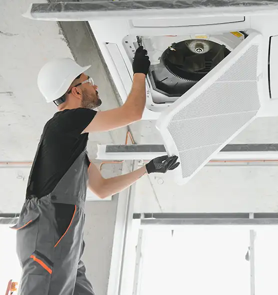 About Air Duct Rodent Removal in Albert Lea, MN