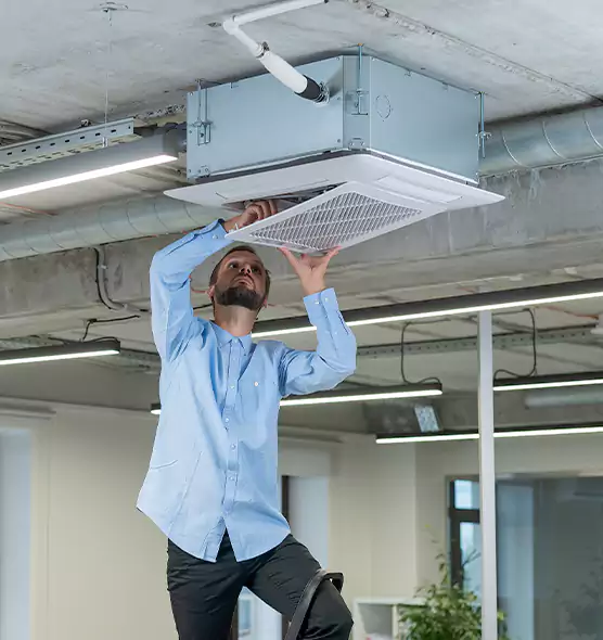 Advanced Rodent Droppings In Vents in Albert Lea, MN