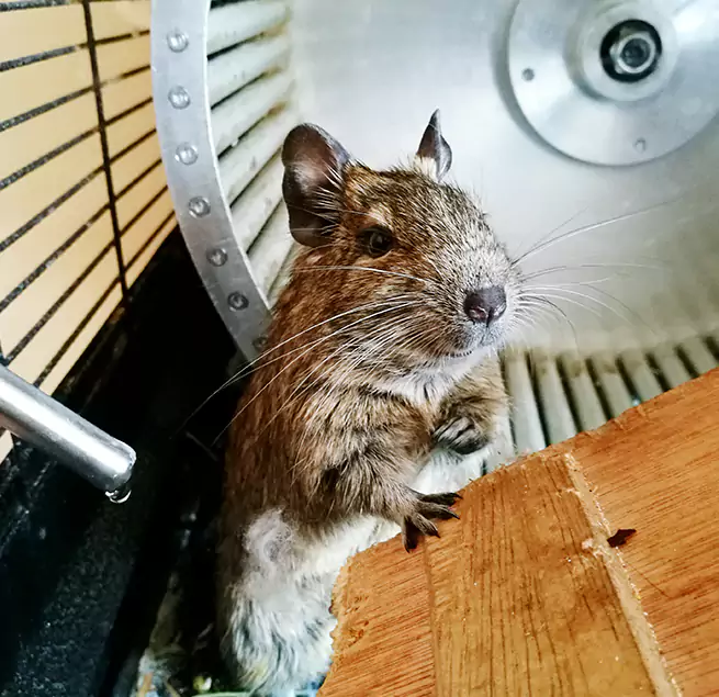 Why Homeowners & Businesses Trust Us Albert Lea, MN