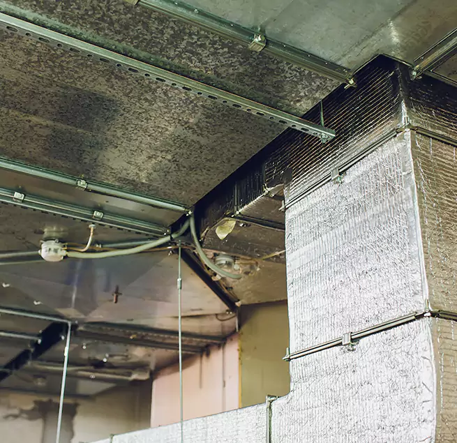 Why Homeowners & Businesses Trust Us in Albert Lea, MN?